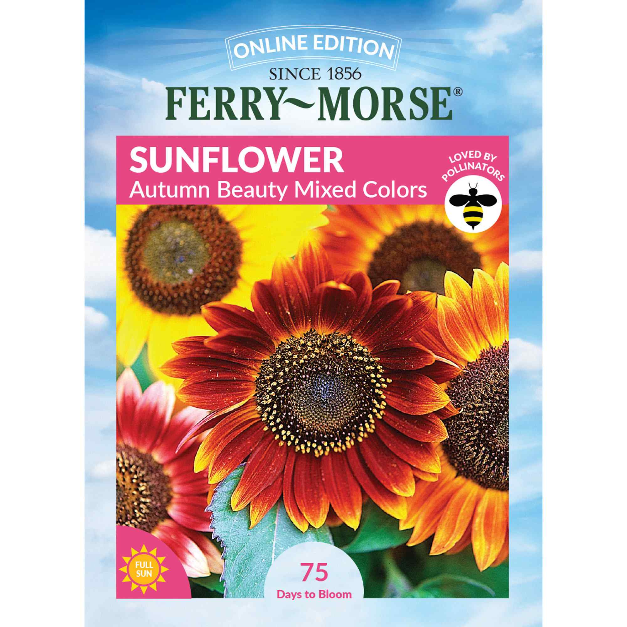 Sunflower autumn beauty mixed colors front of packaging